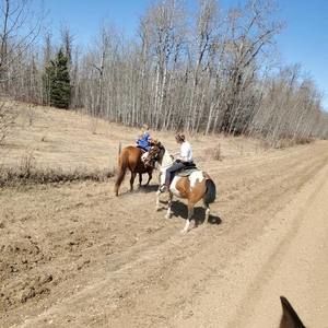 Meet your Posher, Alice